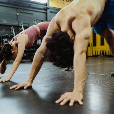 gympress pro challenge